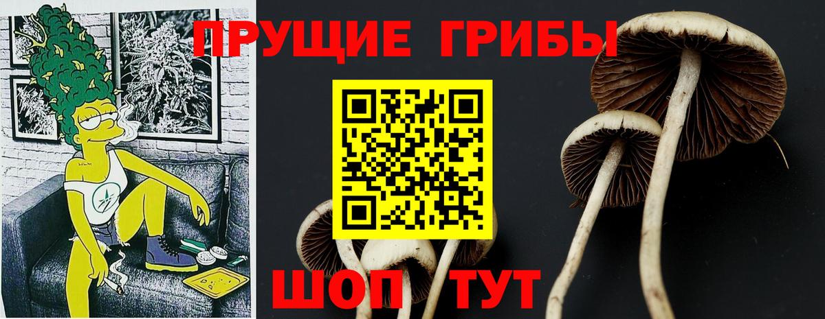 Ишимбай  Псилоцибиновые грибы мицелий  Вход с VPN 