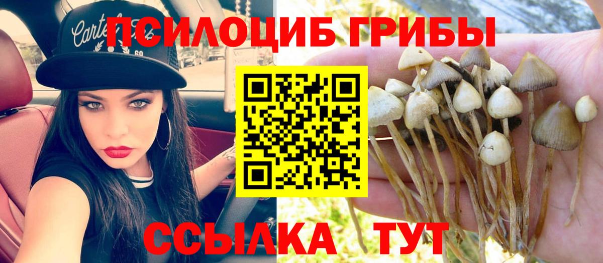 Псилоцибиновые грибы ЛСД Ишимбай